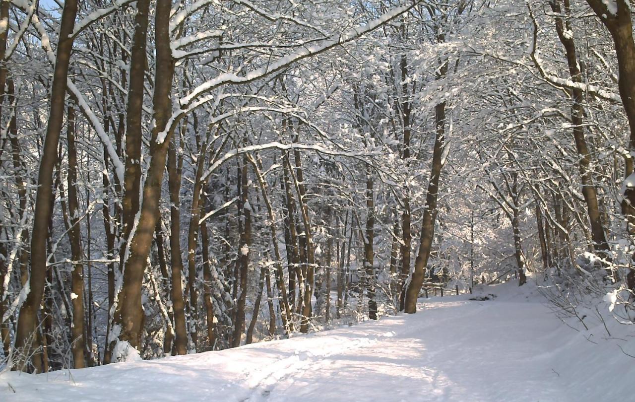 Pension Padberg Вінтерберг Екстер'єр фото
